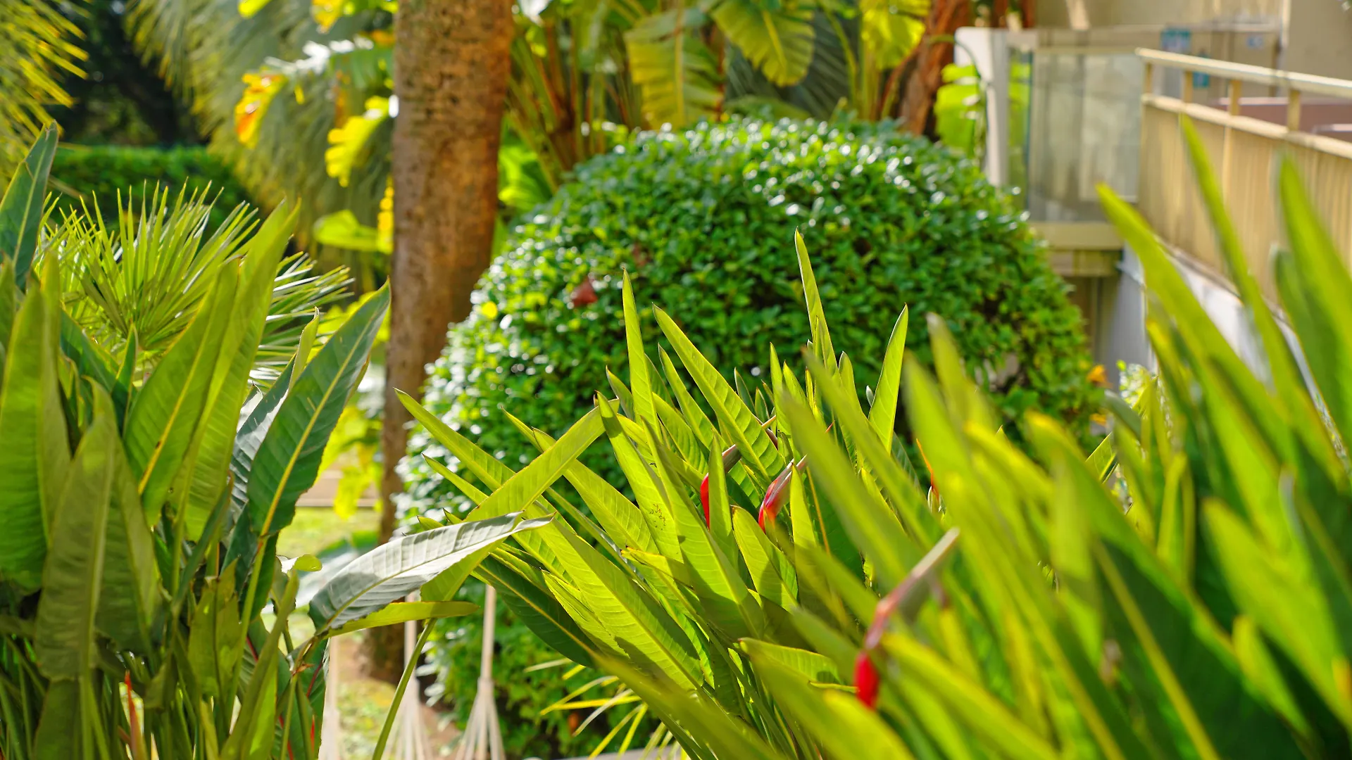 Luxotel Cannes Frankrijk
